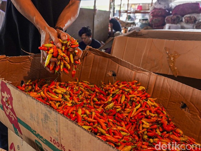 Harga cabai rawit merah di Pasar Induk Tanah Tinggi, Tangerang kini mencapai Rp70 ribu per kilogram, Senin (21/9/2026). Harga cabai di Pasar Induk Tanah Tinggi terpantau mengalami kenaikan pada perdagangan hari ini.