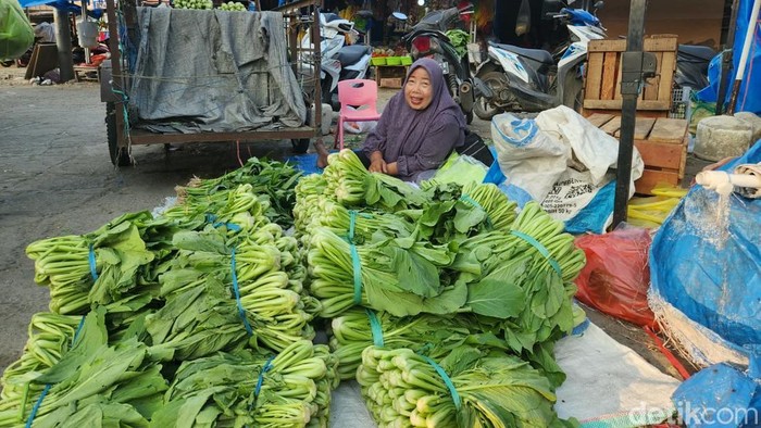 Harga sayuran di Polman naik drastis imbas kemarau panjang.