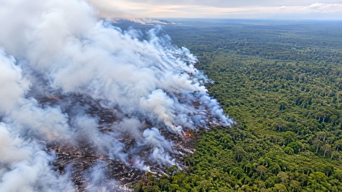 Kawasan TNBS Tanjabtim Jambi yang terbakar pantau udara