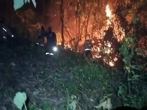 Video: Akses Terjal, Petugas Padamkan 20 Ha Karhutla Pakai Ranting