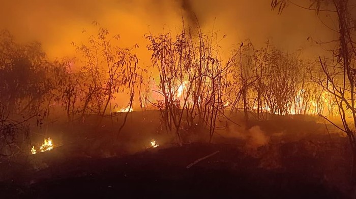 Kebakaran terjadi di Kedoya, Kebon Jeruk, Jakbar. Petugas pemadam kebakaran (damkar) melaporkan objek yang terbakar di lokasi tersebut berupa ilalang. (dok Damkar)