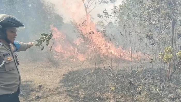 Kebakaran yang terjadi di Taman Nasional Way Kambas