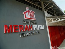 Menkop Ungkap Agrinas Atur Penempatan Manajer Kopdes Merah Putih