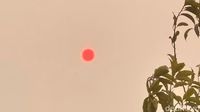Bukan Filter! Begini Penampakan Kabut Asap di Kalimantan