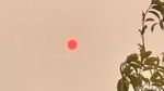 Bukan Filter! Begini Penampakan Kabut Asap di Kalimantan