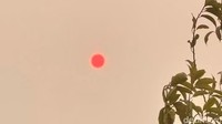 Kabut asap dengan polutan tinggi membuat matahari terlihat merah pekat di Kabupaten Kotawaringin Barat (Kobar), Kalimantan Tengah, pada Senin (21/9/2026) sore. Foto: Sigit Pamungkas/detikKalimantan