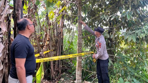 Polisi menyelidiki lokasi penemuan jenazah Manggia di lahan kosong di Desa Landih, Bangli, Bali, Senin (21/9/2026). (Dok Polsek Bangli)