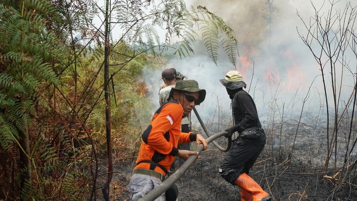 Regu pemadam PT REKI bersama tim gabungan memadamkan kebakaran lahan di area konsesinya
