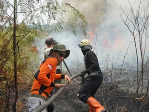 PT REKI Hormati Proses Hukum Kasus Karhutla di Area Konsesinya