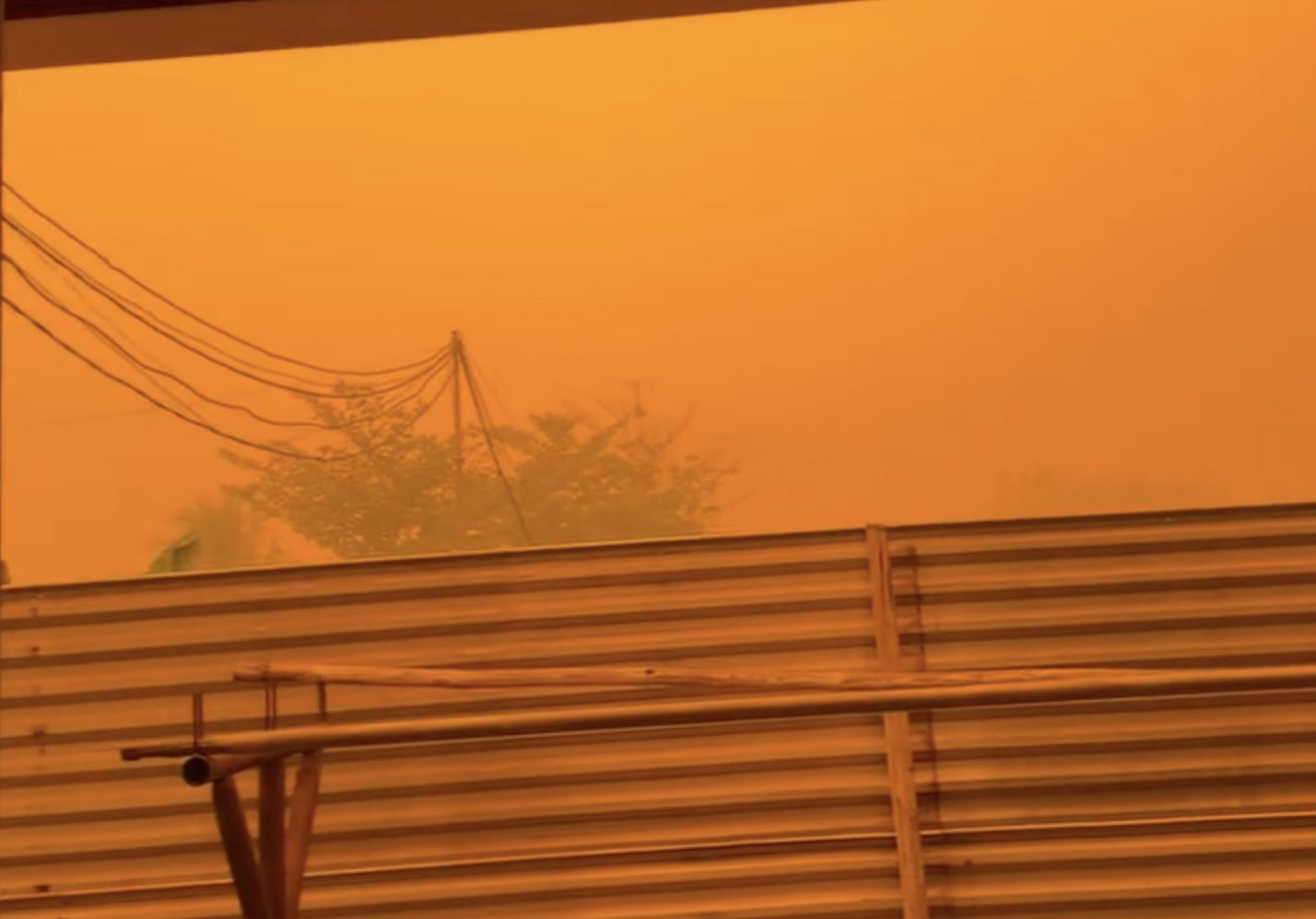 Seorang warga mengunggah video saat langit berwarna merah akibat kebakaran hutan yang melanda sejumlah wilayah di Kalimantan Tengah, Minggu (20/9/2026). Seorang warga mengunggah video saat langit berwarna merah akibat kebakaran hutan yang melanda sejumlah wilayah di Kalimantan Tengah, Minggu (20/9/2026). (Instagram/delefia)