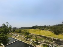 Sensasi Nongkrong Menikmati Panorama Sawah dan Lampu Kota Kuningan