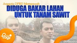 Video: Anggota DPRD Mempawah Diduga Bakar Lahan untuk Tanam Sawit