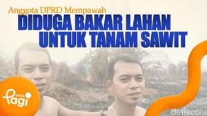 Video: Anggota DPRD Mempawah Diduga Bakar Lahan untuk Tanam Sawit