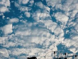 Bikin Tercengang! Foto Kejadian Nyata Terlihat Seperti Karya Seni