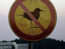 Bikin Tercengang! Foto Kejadian Nyata Terlihat Seperti Karya Seni