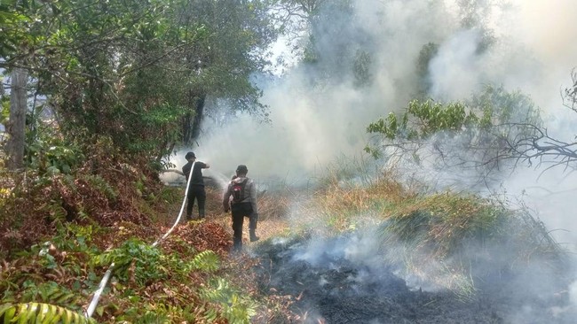 Hotspot Kapuas Tembus 25 Ribu, Pemadaman Terkendala Akses