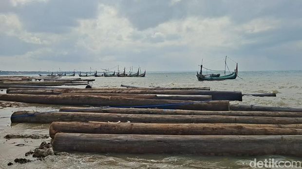 Kayu gelondongan yang terdampar di pesisir Sumenep Ratusan Kayu Gelondongan Terdampar di Pesisir Sumenep