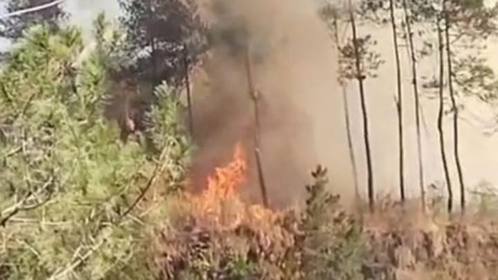Kebakaran hutan di Taman Nasional Gunung Merapi tepatnya di Cangkruk Gentong Jurangjero, Kecamatan Srumbung, Kabupaten Magelang, Selasa (22/9/2026).