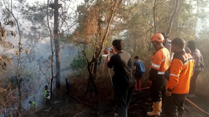 Petugas gabungan saat memadamkan kebakaran di hutan Taman Nasional Gunung Merapi, Selasa (22/9/2026).