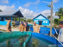 Kemarau Keringkan Sumber Air, Pembenihan Ikan di Kobar Ditunda