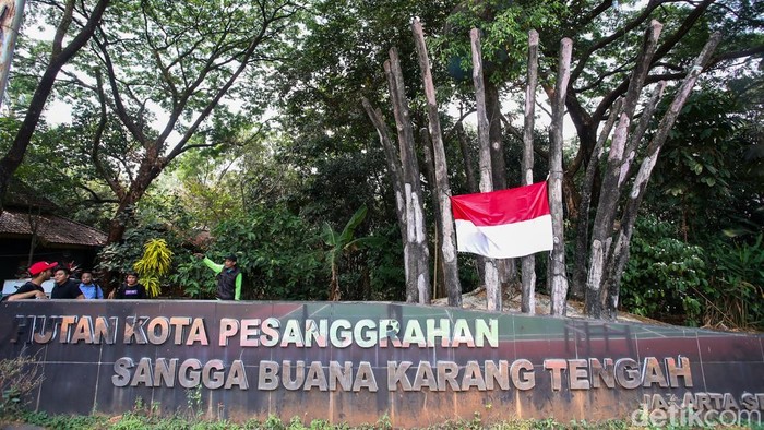 Melihat Kebun Kopi di Tengah Hutan Kota Jakarta