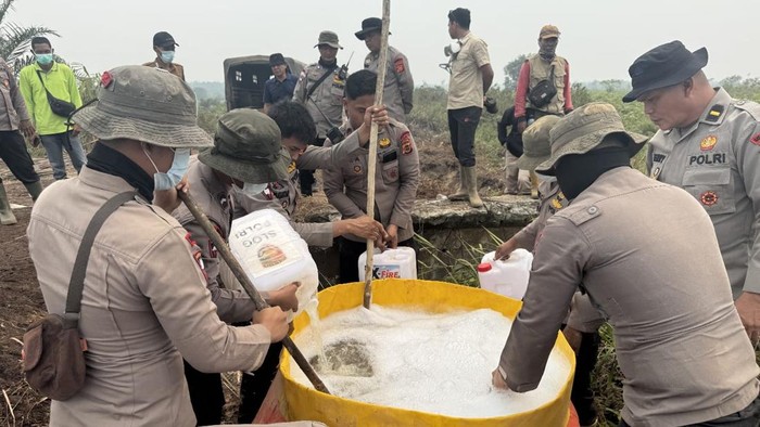 Petugas menggunakan cairan X-Firr untuk memadamkan karhutla di TNBS, Tanjabtim, Jambi