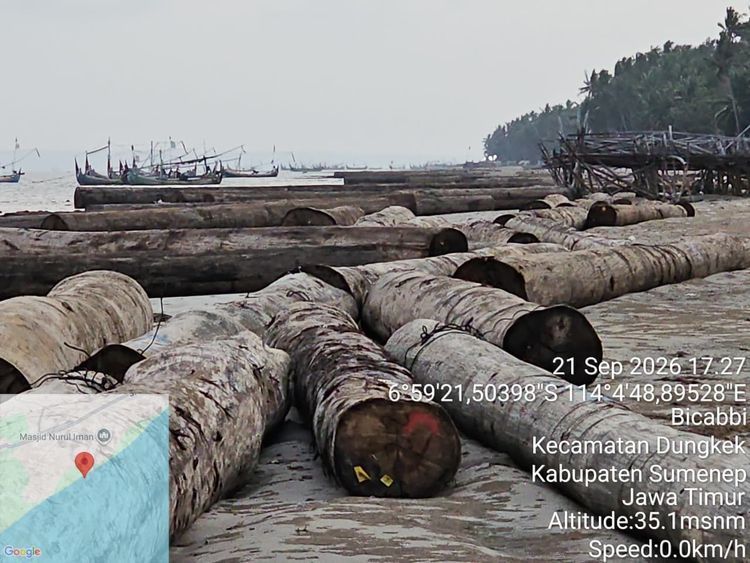 Sebanyak 697 batang kayu log yang diangkut Tongkang Lintas Samudera XXIII dilaporkan jatuh ke laut dan hanyut menuju wilayah pesisir Kabupaten Sumenep, Jawa Timur, setelah tongkang yang ditarik Tugboat (TB.) Yamdena 03 mengalami kebocoran dan kemiringan akibat kondisi cuaca buruk. Sebanyak 697 batang kayu log yang diangkut Tongkang Lintas Samudera XXIII dilaporkan jatuh ke laut dan hanyut menuju wilayah pesisir Kabupaten Sumenep, Jawa Timur, setelah tongkang yang ditarik Tugboat (TB.) Yamdena 03 mengalami kebocoran dan kemiringan akibat kondisi cuaca buruk. (Dok. Kementerian Kehutanan)