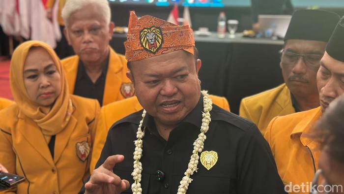 Wakil Ketua Umum Hanura Patrice Rio Capella