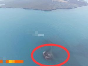 Ada Daratan Baru Dekat Gunung Anak Krakatau, Ini Kata Badan Geologi