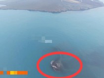 Ada Daratan Baru 30,3 Ha Dekat Anak Krakatau, Ini Penampakannya