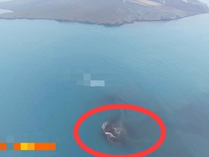 Daratan Baru 30,3 Hektare Muncul di Dekat Gunung Anak Krakatau