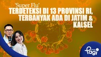 'Super Flu' Terdeteksi di 13 Provinsi RI, Terbanyak Ada di Jatim & Kalsel