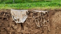 Penelitian yang dilakukan bersama Agroscope, pusat penelitian pertanian federal Swiss, itu mengajak sekitar 1.000 warga ikut dalam proyek sains warga (citizen science). Mereka mengubur lebih dari 2.000 celana dalam berbahan katun dan sekitar 12.000 kantong teh di sekitar 1.000 lokasi di seluruh Swiss. Foto: Gabriela Brändle, Agroscope