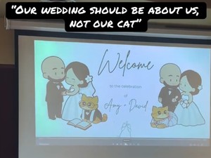 Unik dan Menggemaskan, Intip Momen Pernikahan Viral Berkonsep Serba Kucing