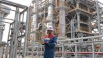 Pertamina Sulap Gas Alam Tinggi CO2 Jadi Energi Bersih