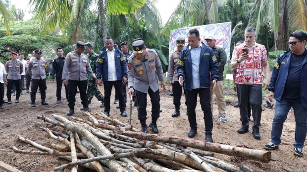 Polda Riau membongkar pabrik arang ilegal dari mangrove di Pulau Rupat dan menyita 114 ton arang siap jual, Rabu (23/9/2026)..
