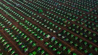 Konflik perbatasan membuat kehidupan warga di Rong Cham berubah, termasuk mereka yang sebelumnya memiliki pekerjaan dan usaha di kawasan perbatasan. REUTERS/Soveit Yarn  
