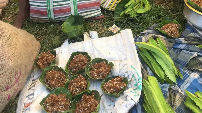 Sambal semut merah Sambal semut merah