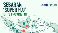 Infografis: Super Flu Terdeteksi di 13 Provinsi RI, Ini Sebarannya
