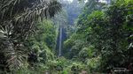 2 Jam Jalan Kaki ke Curug Cileat, Hadiahnya Air Terjun Raksasa di Tengah Hutan Subang