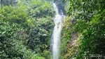 2 Jam Jalan Kaki ke Curug Cileat, Hadiahnya Air Terjun Raksasa di Tengah Hutan Subang