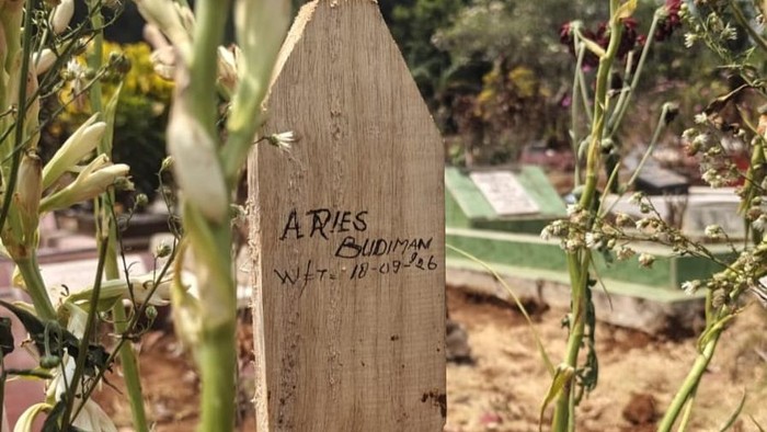 Aries Budiman