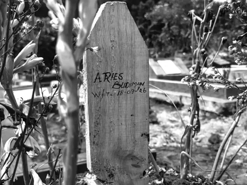 Garasi nyekar ke makam Aries Budiman