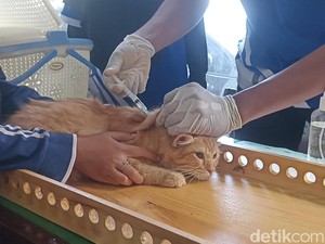 500 Hewan Peliharaan di Tulungagung Divaksin Rabies Gratis