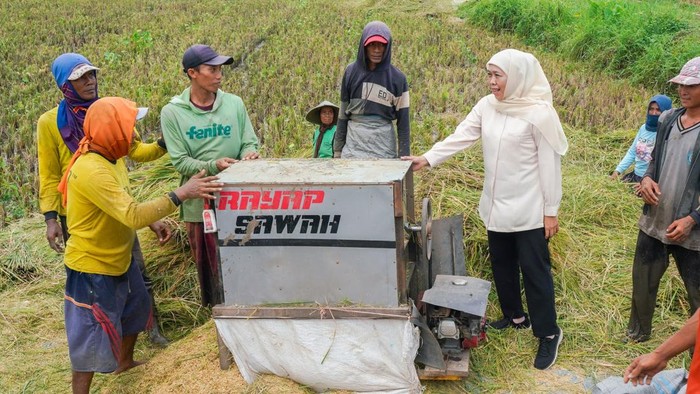 Gubernur Khofifah bersama petani