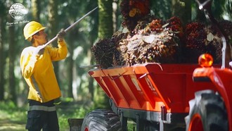 Laba Bersih Astra Agro Lestari Tembus Rp 1,1 Triliun di Semester I 2026
