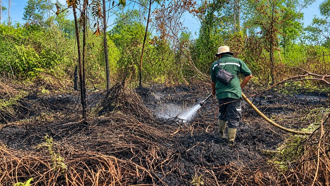 Hujan Padamkan Karhutla di TNBS, 11 Titik Panas Masih Terpantau
