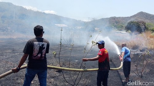 Kebakaran lahan di Kelurahan Weri, Kecamatan Larantuka, Flores Timur, Kamis (24/9/2026) siang.