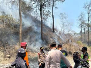 Kebakaran 60 Hektare Lahan Hutan di Lereng Merapi Akhirnya Padam