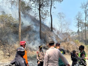 Kebakaran 60 Hektare Lahan Hutan di Lereng Merapi Akhirnya Padam